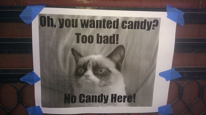 Put Grumpy Cat Signs Everywhere