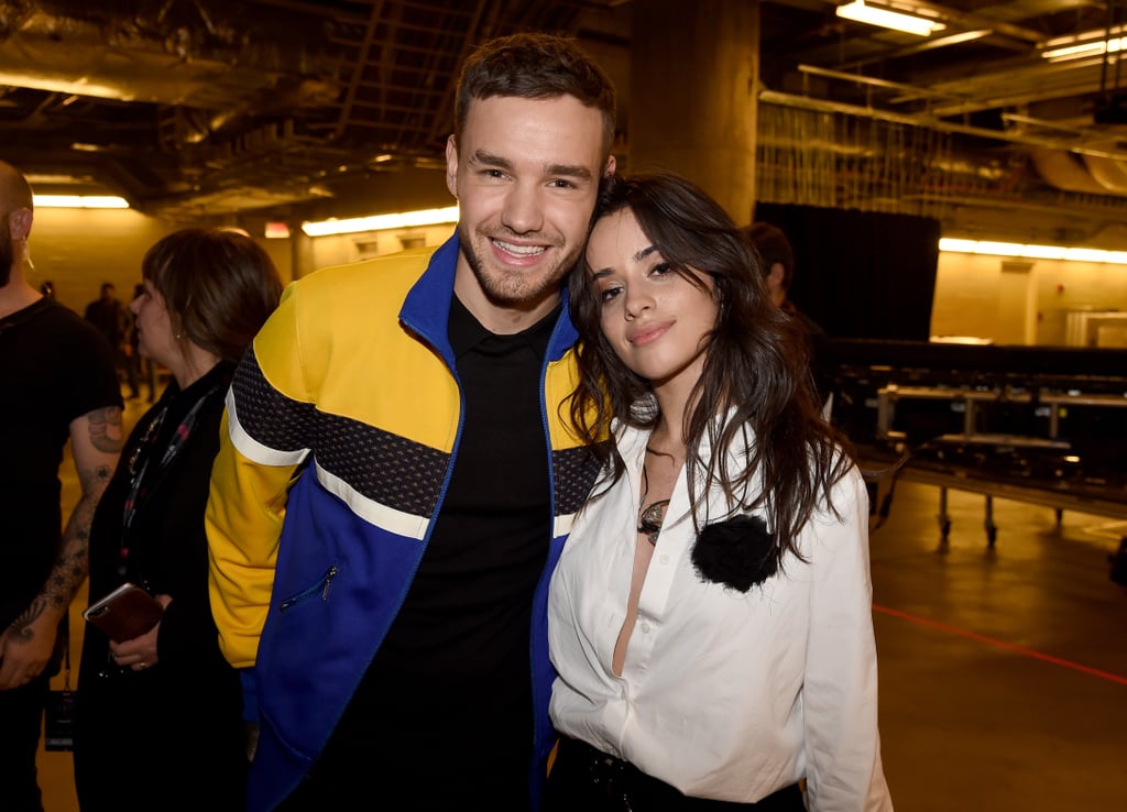 Camila Cabello and Liam Payne