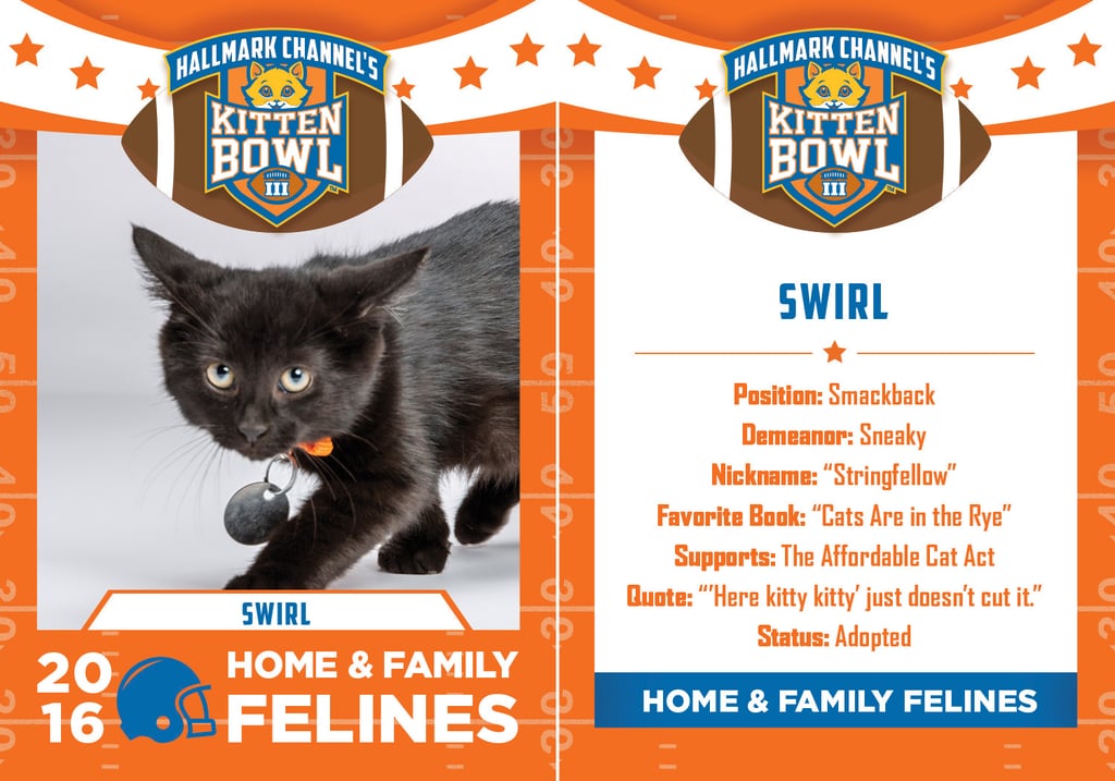 Kitten Bowl 2016