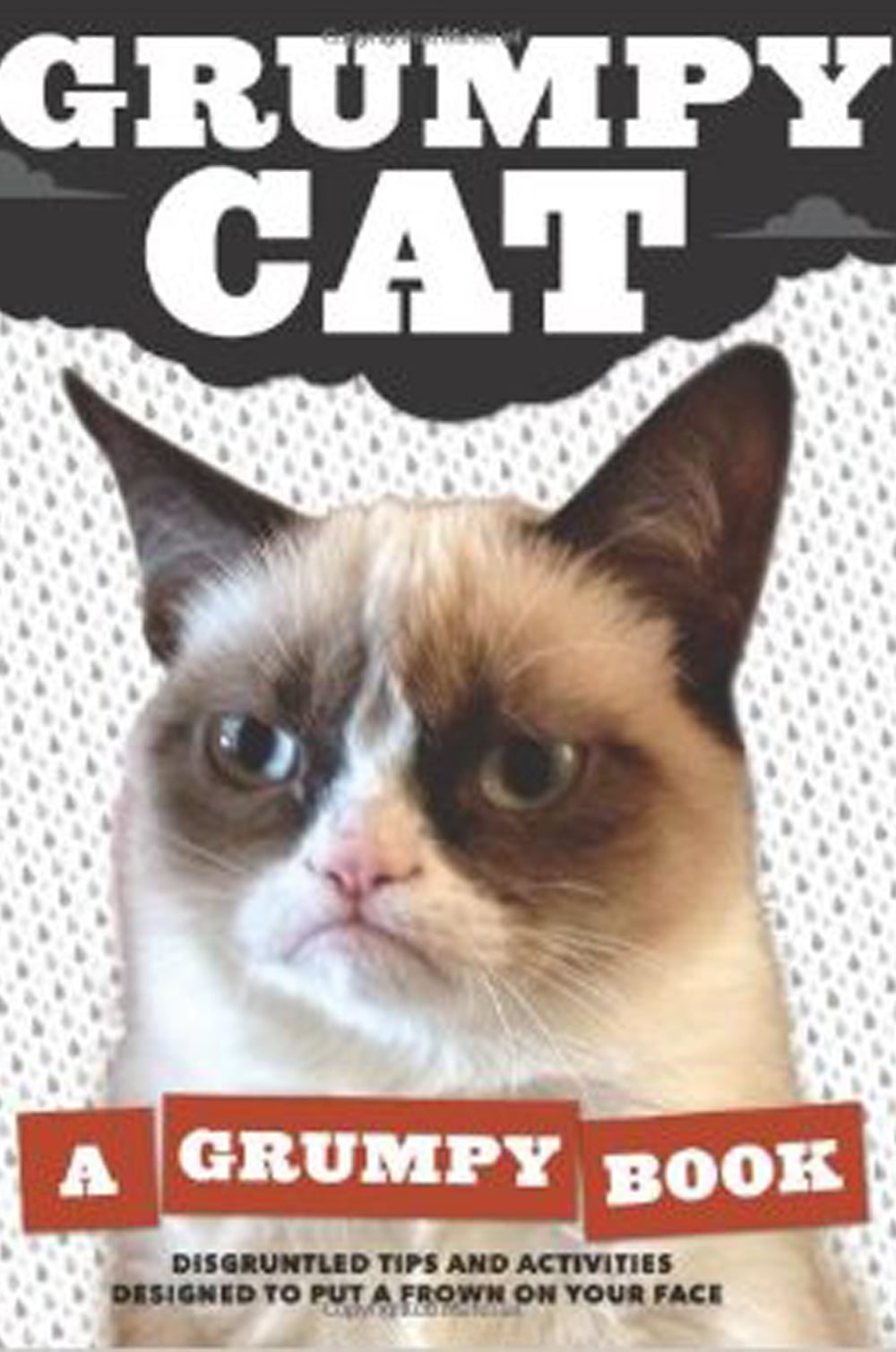 Grumpy Cat By Grumpy Cat While The Cat S Away 12 Books About