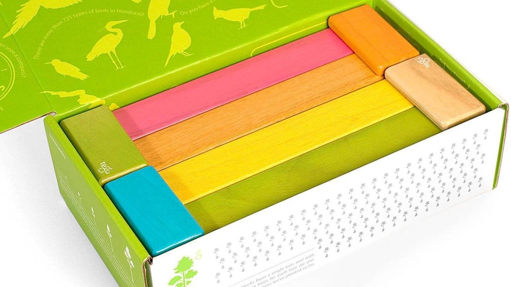 Tegu Magnetic Blocks