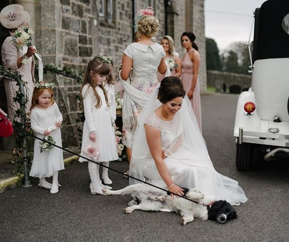 Nothing like a belly rub from the bride!