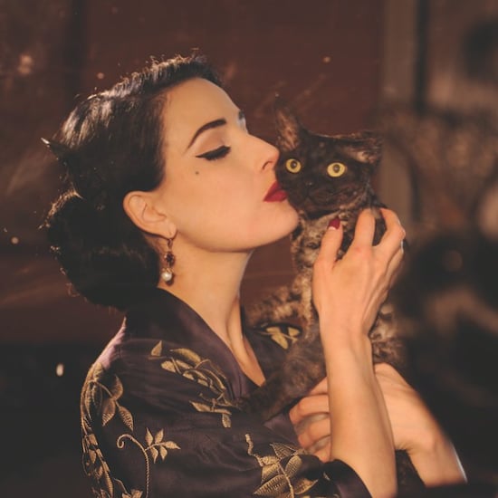 A Letter to My Cat