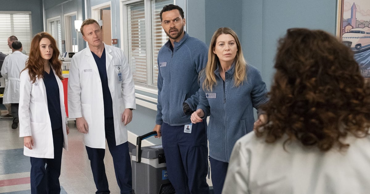 All the Drama We Expect in the New Season of Grey's Anatomy | POPSUGAR