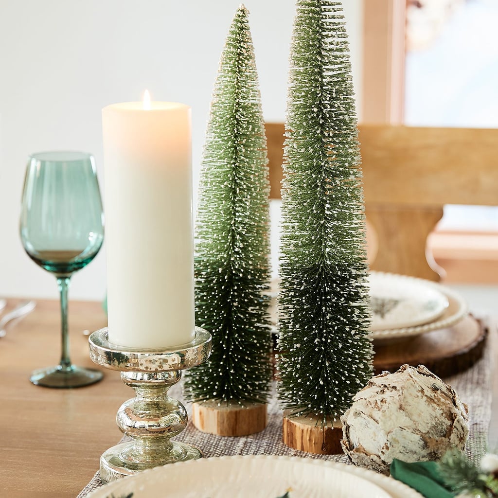 Tall Green Ombre Bottle Brush Tree