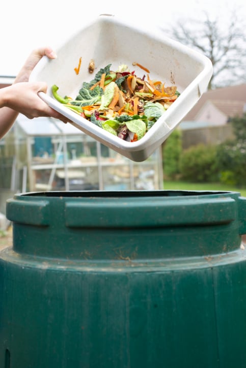 Compost Kitchen Scraps