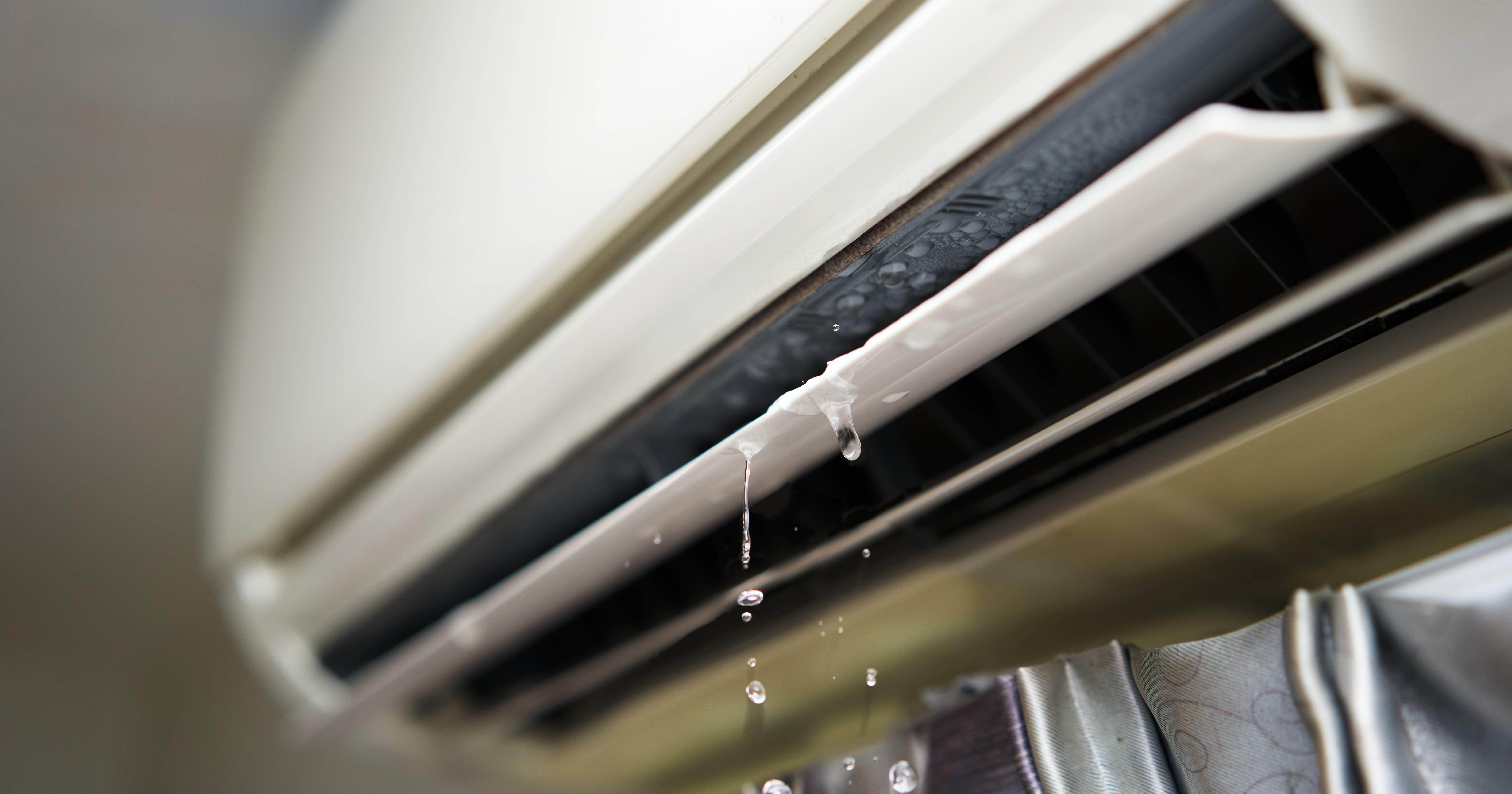 What Is Legionella Bacteria, Legionnaires’ Disease?