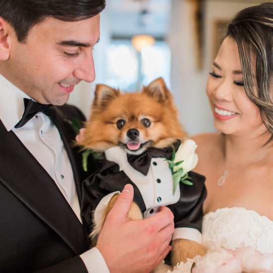 Dogs in Weddings