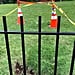 Sinkhole on White House Lawn May 2018