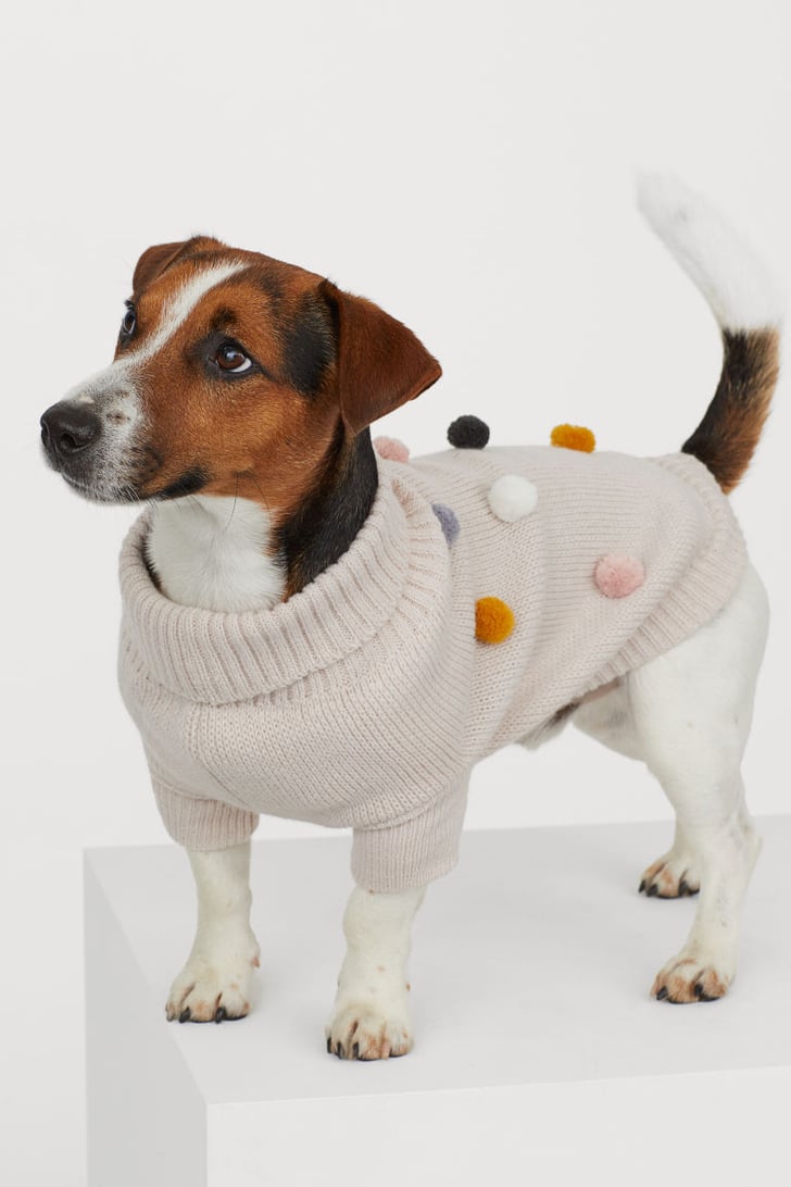 H&m dog sweaters discount