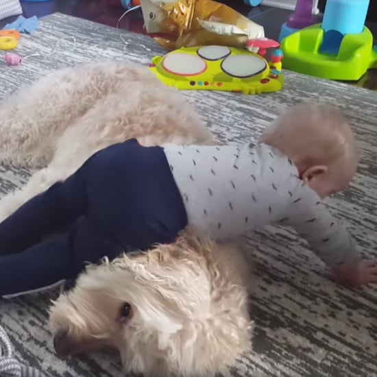 Baby Trying to Nap on His Dog