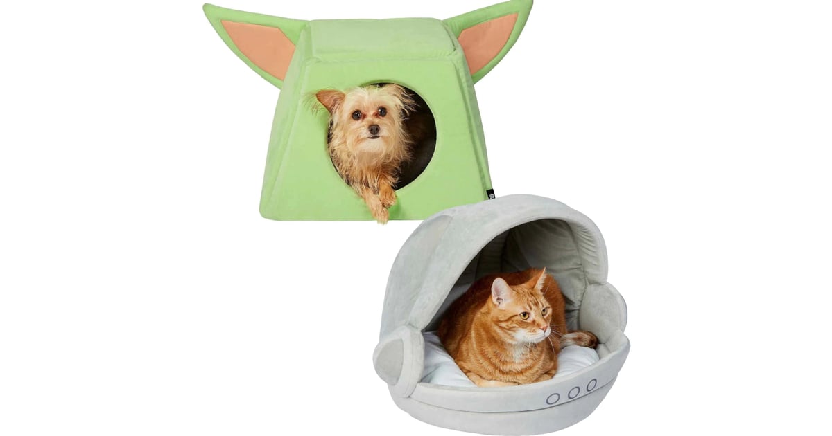 Chewy deal sales