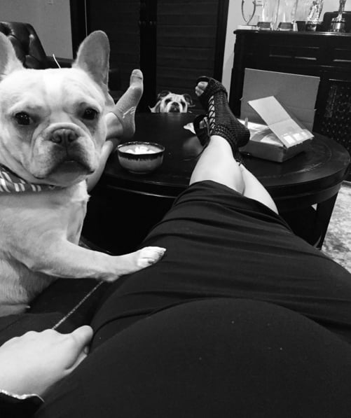 Chrissy Teigen Cutest Baby Bump Pictures