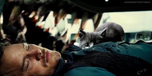 Jurassic World Cats Photoshop