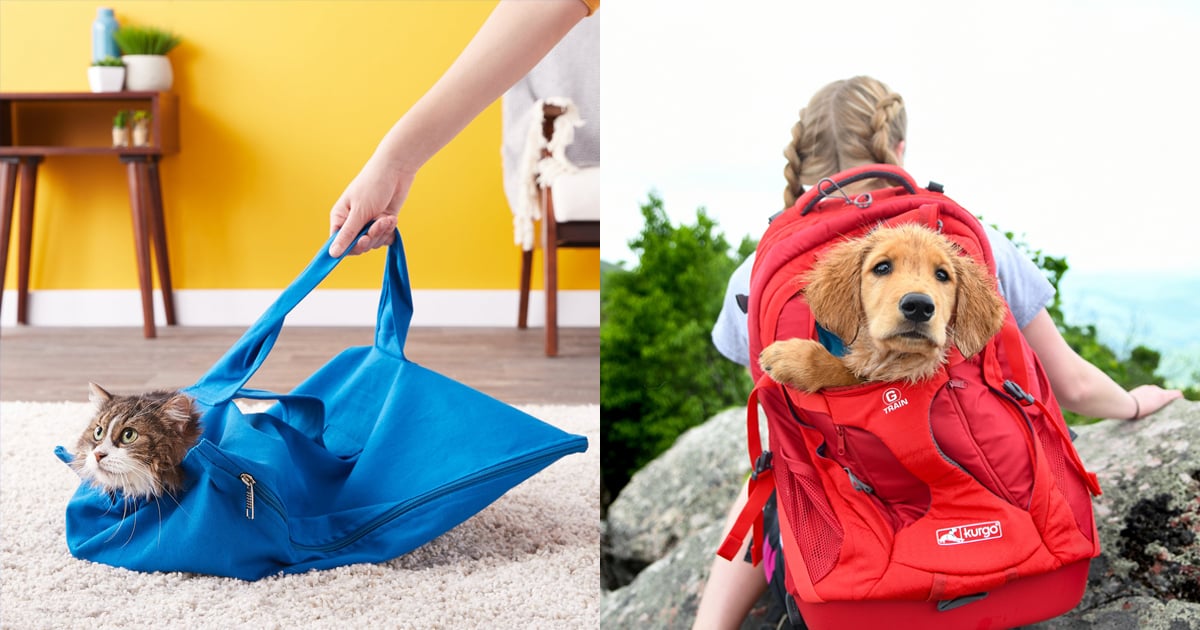 Best Travel Products For Pets Popsugar Uk Parenting
