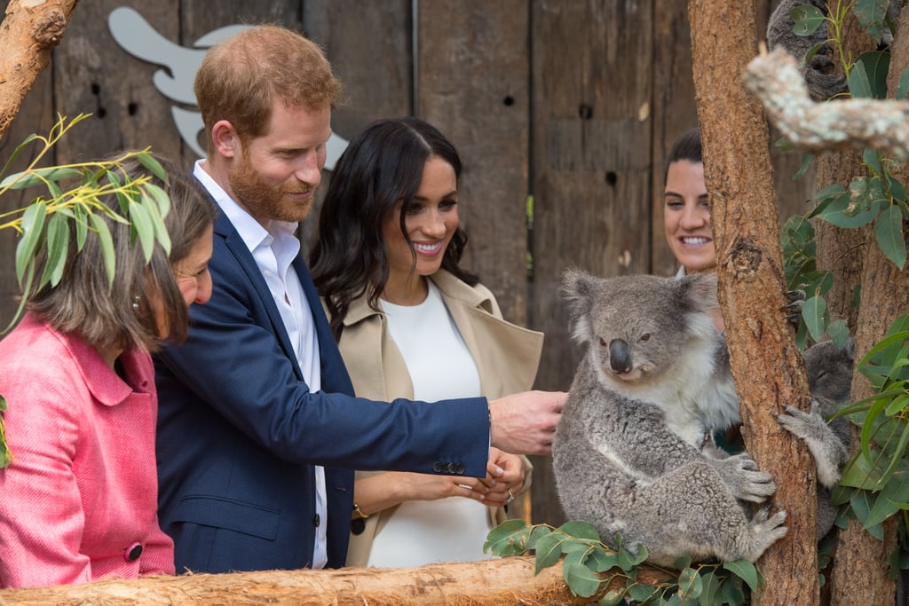 Harry and Meghan made friends with a chill koala during their Australian tour in October 2018.
