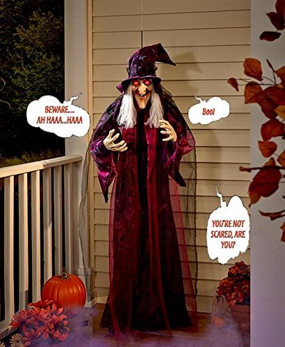 Life-Size Talking Witch ($30)