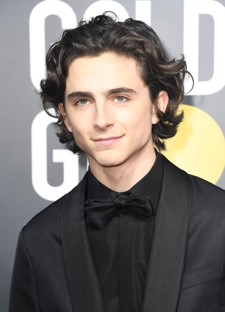 timothee chalamet pop funko