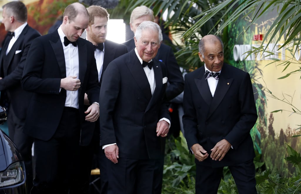 Harry, William, and Charles at Our Planet Premiere 2019