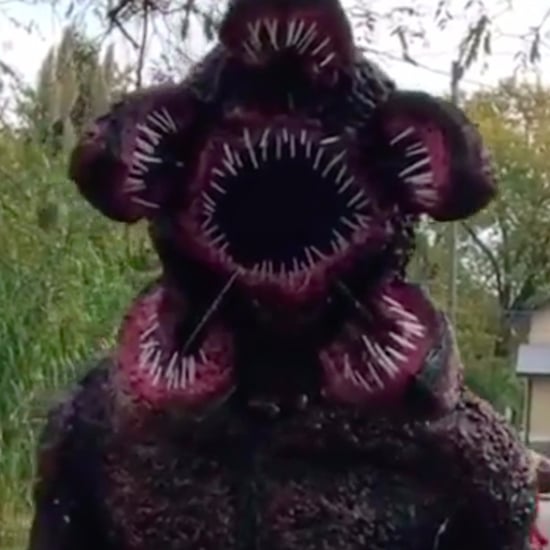 Stranger Things Demogorgon Halloween Costume