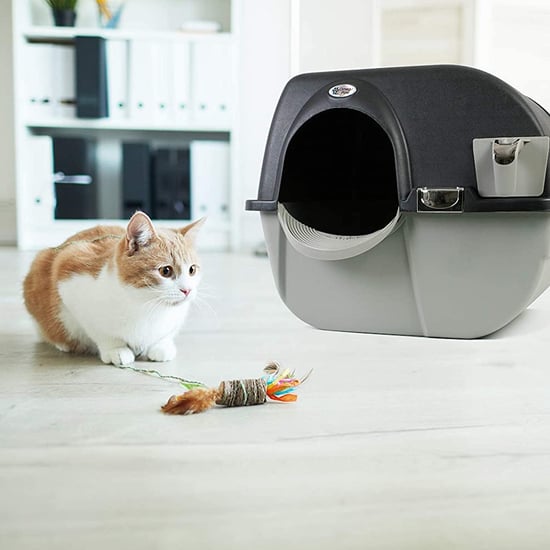 Omega Paw Roll 'n Clean Self Cleaning Cat And Kitten Litter Box
