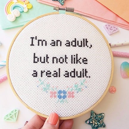 Funny Cross-Stitch Hoops