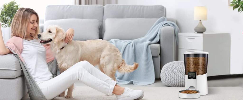 WOpet Automatic Pet Feeder Review