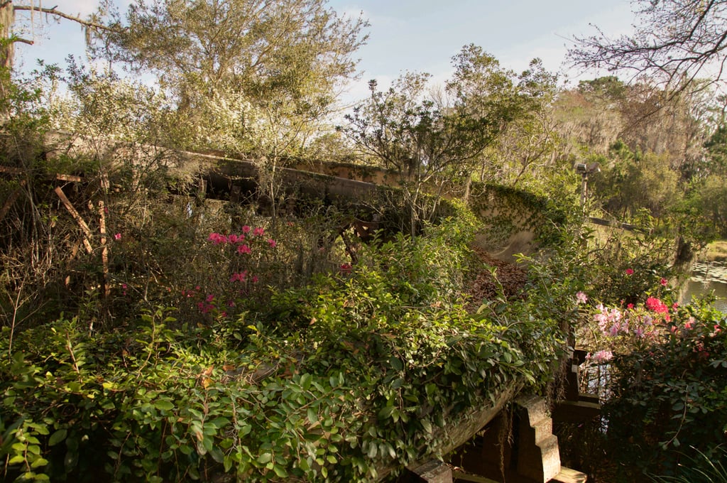 Abandoned Disney Park Photos