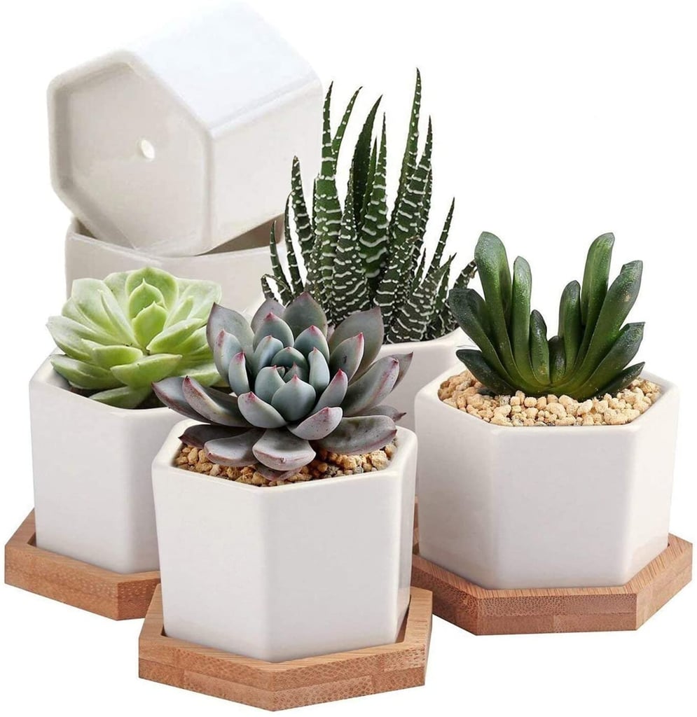 OAMCEG Succulent Plant Pots