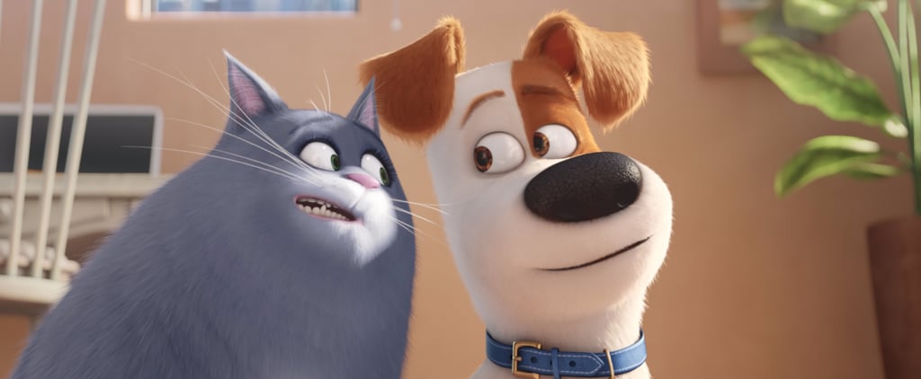 The Secret Life of Pets Wins Box Office on Opening Weekend