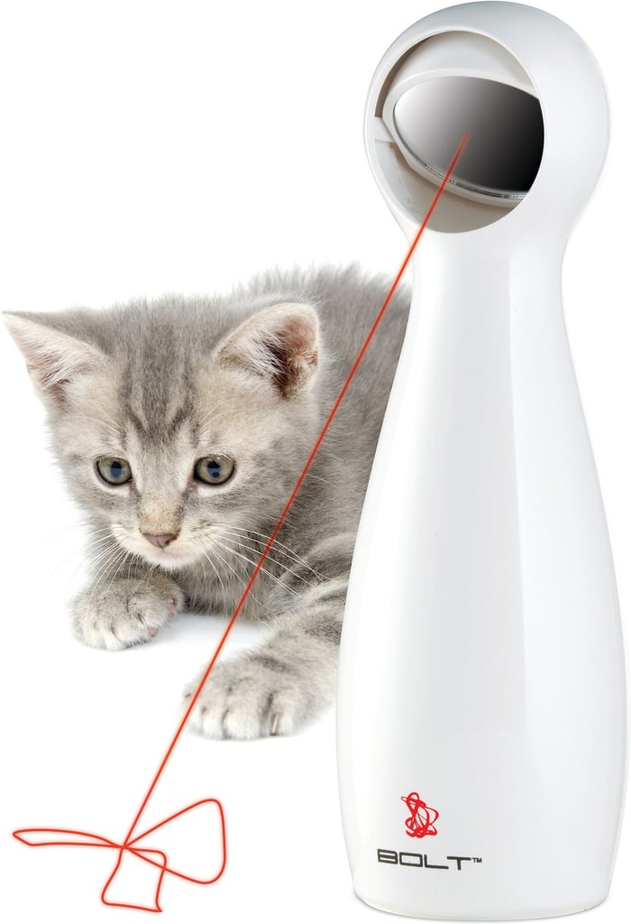 The Best Cat Toy: Cat Laser Toy