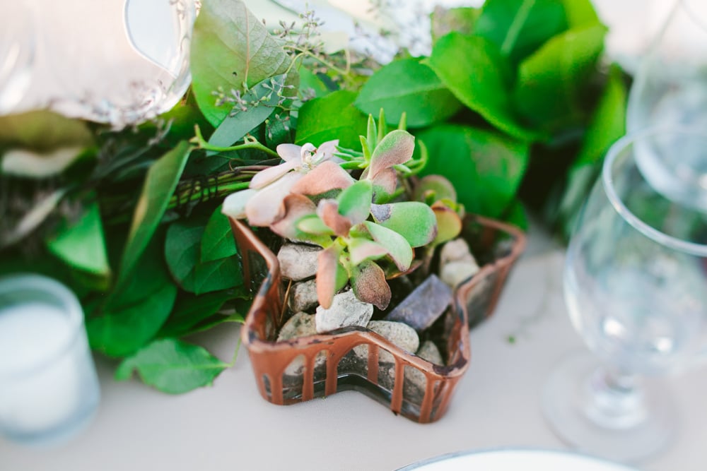 Lemon Orchard Wedding