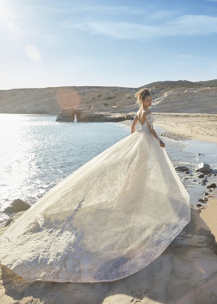 Chiffon Overlays