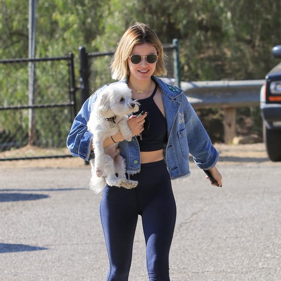 Meet Lucy Hale's 2 Dogs, Elvis and Ethel
