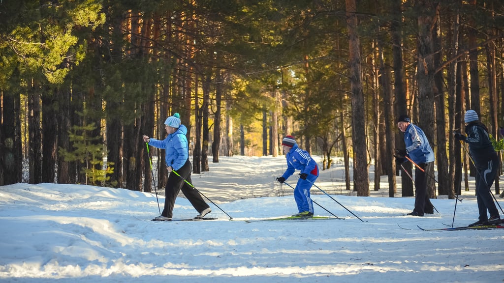 Go Skiing or Snowboarding