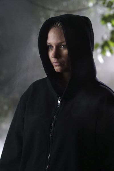 Pretty Little Liars Season 6 Summer Finale Pictures