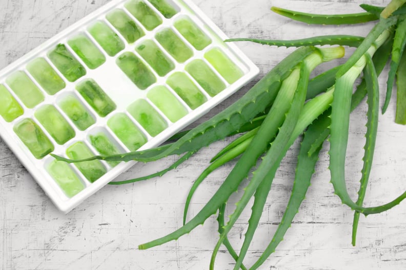 Make aloe cubes for sunburns.