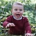 Prince Louis Pictures