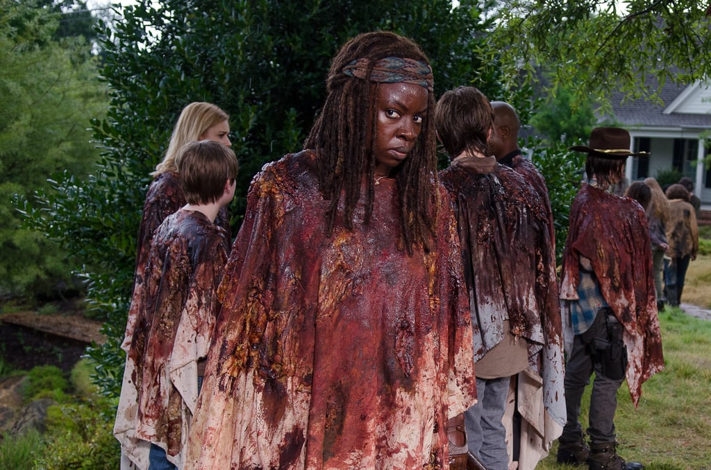 Types of The Walking Dead Fans