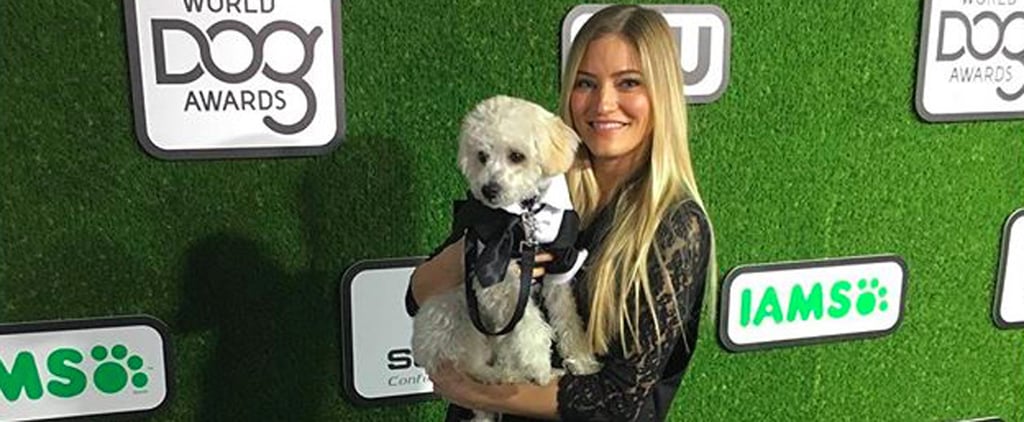 Photos of iJustine's Dog, Matty