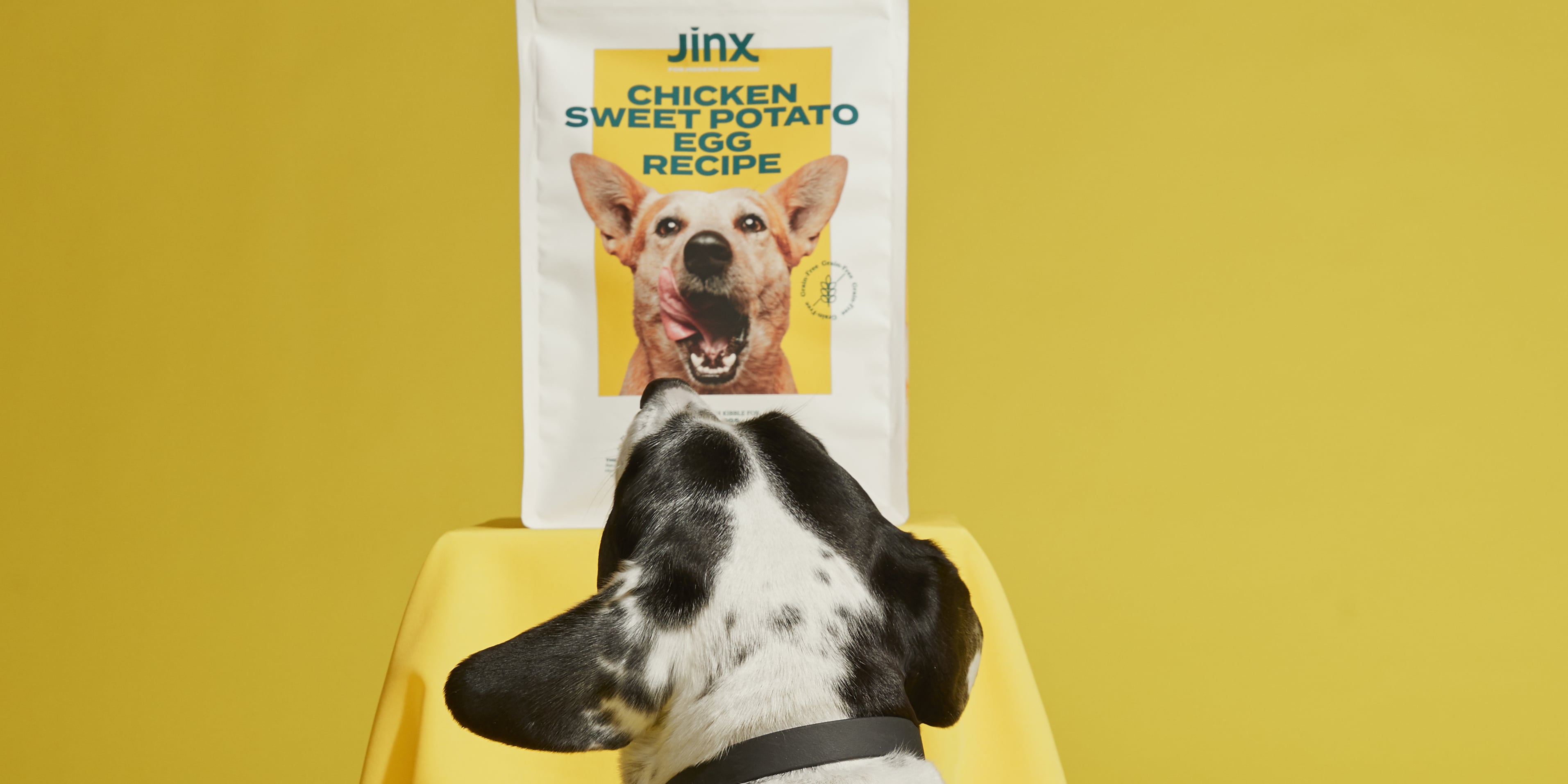 Jinx Dog Food Review POPSUGAR Pets