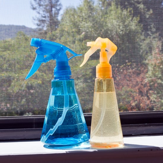 DIY Window Screen Cleaner