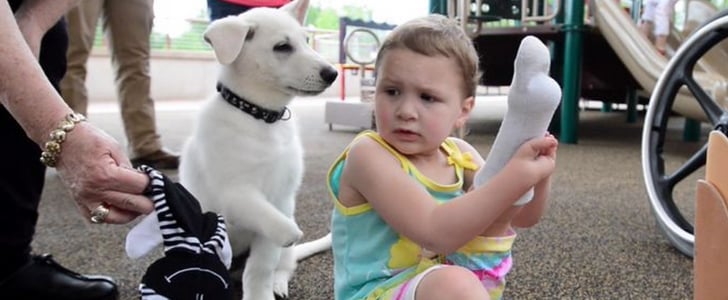 Girl Without Feet Gets Puppy Without a Paw