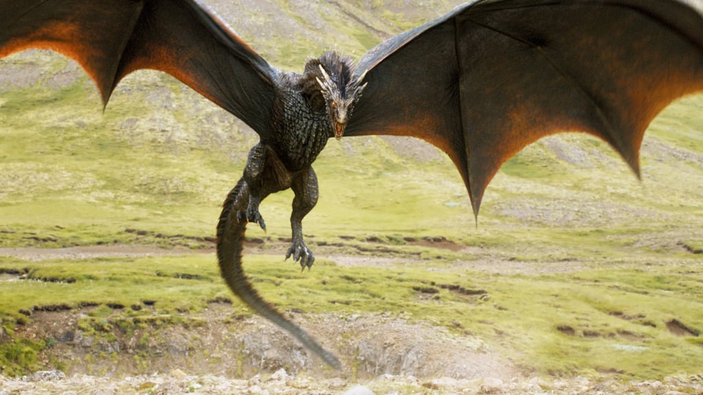 One of Daenerys's dragons.