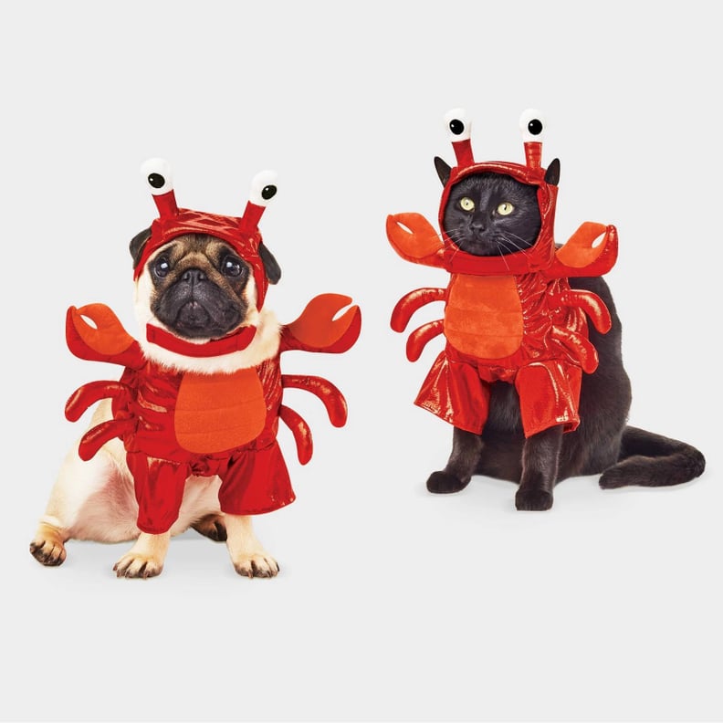 Lobster Dog and Cat Costume