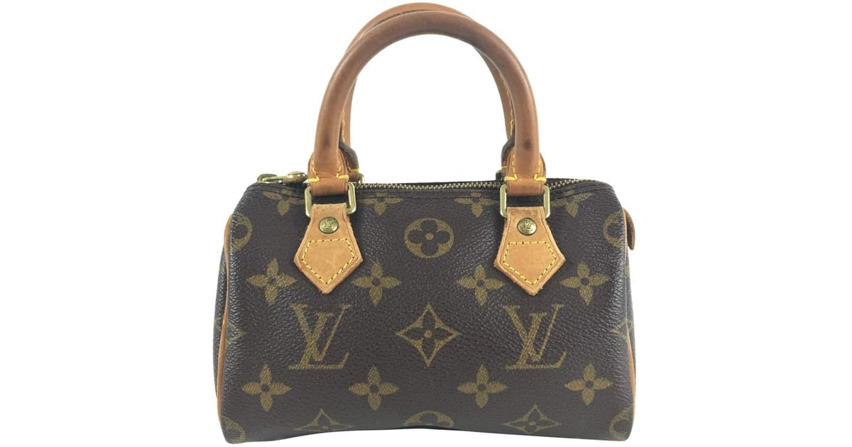 Louis Vuitton Glossy  Natural Resource Department