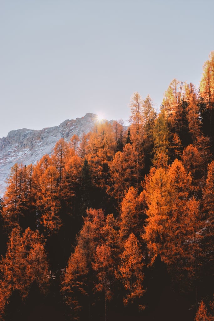 20 Cosy Fall Wallpapers For Your iPhone