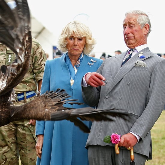 Prince Charles Camilla Freak Out at Eagle