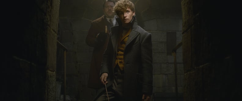 Newt Scamander From Fantastic Beasts: The Crimes of Grindelwald