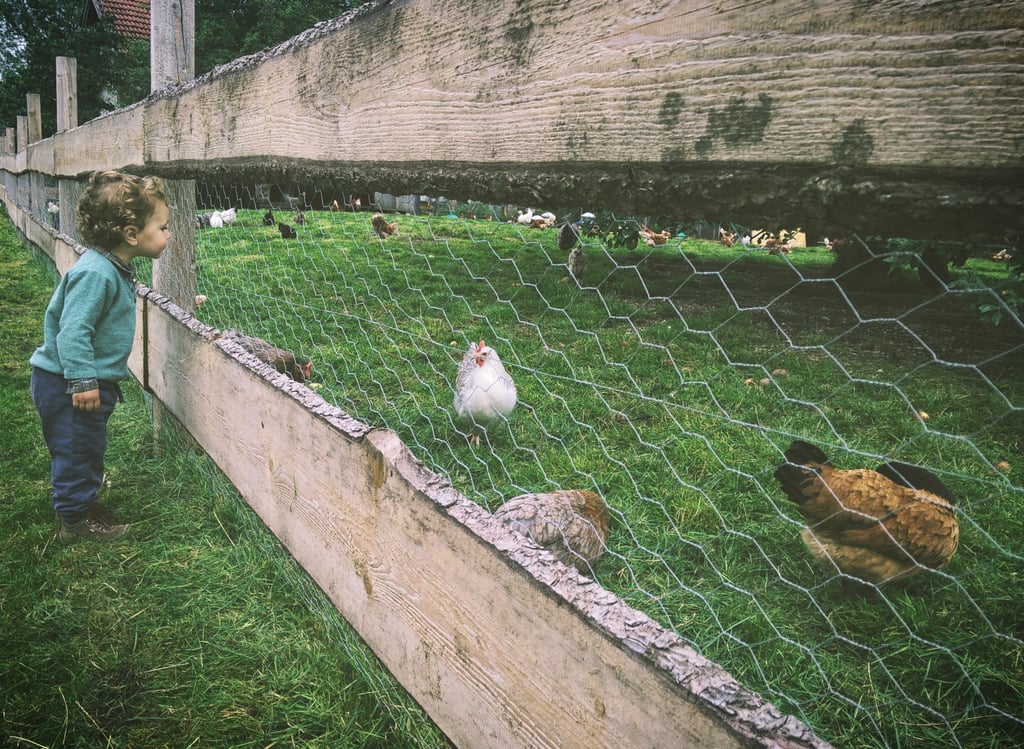 A Visit or Membership to a Nature Center